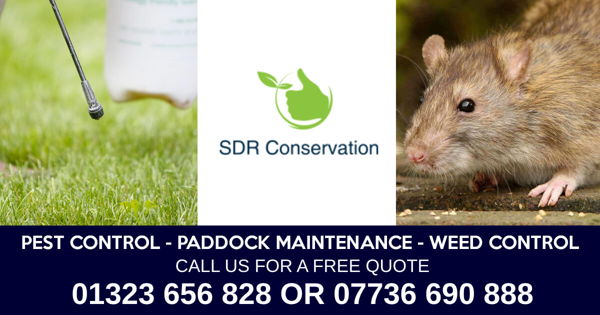 RODENTS & OTHER PESTS SDR Conservation Pest and Weed Control Specialist